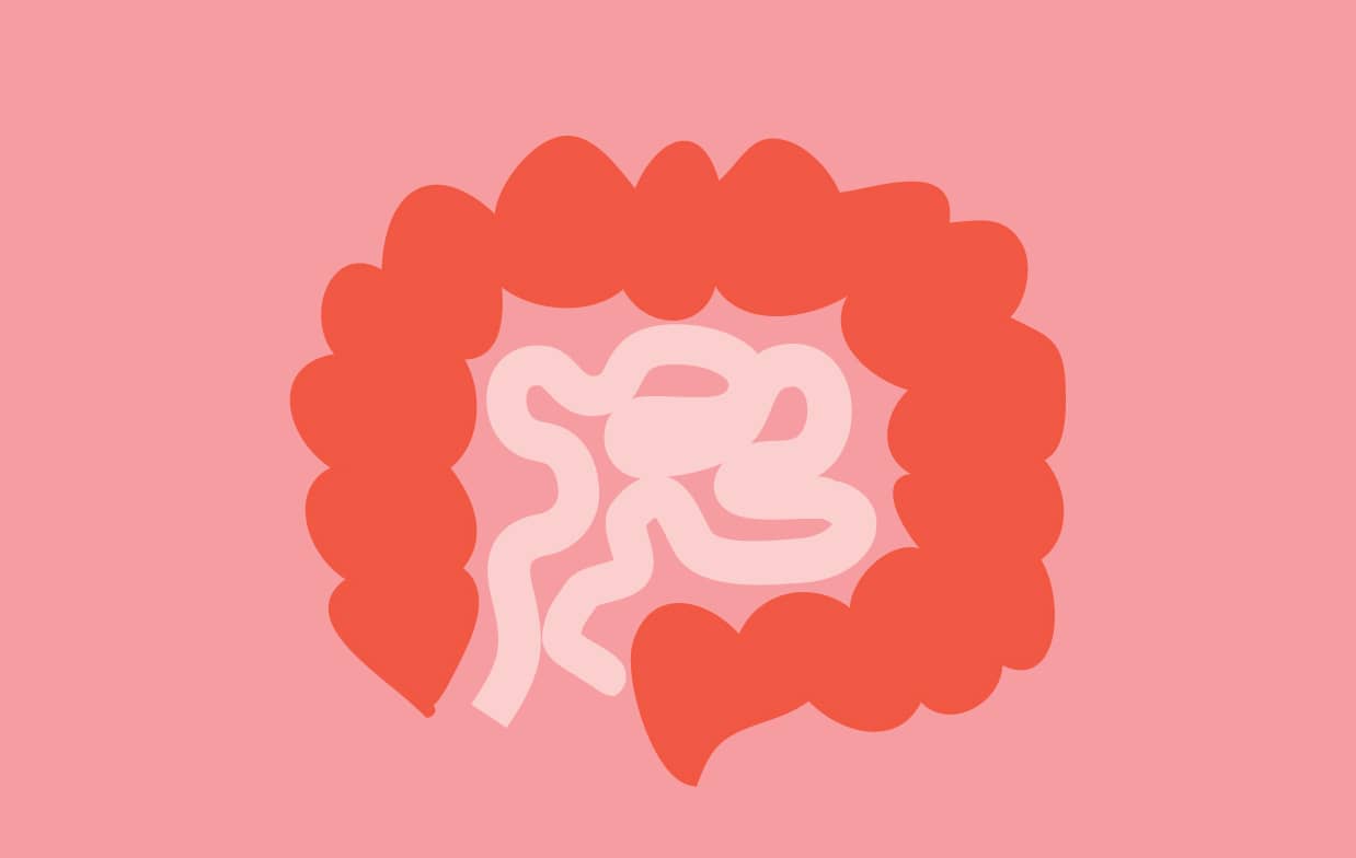 Best Foods To Improve Gut Health In Children