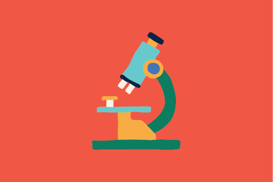 Best foods for male fertility and sperm quality