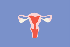 Best foods for female fertility and egg quality