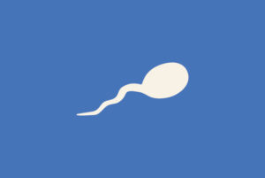 Importance of sperm health on fertility