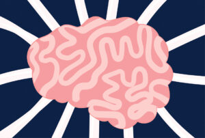 Building a baby’s brain